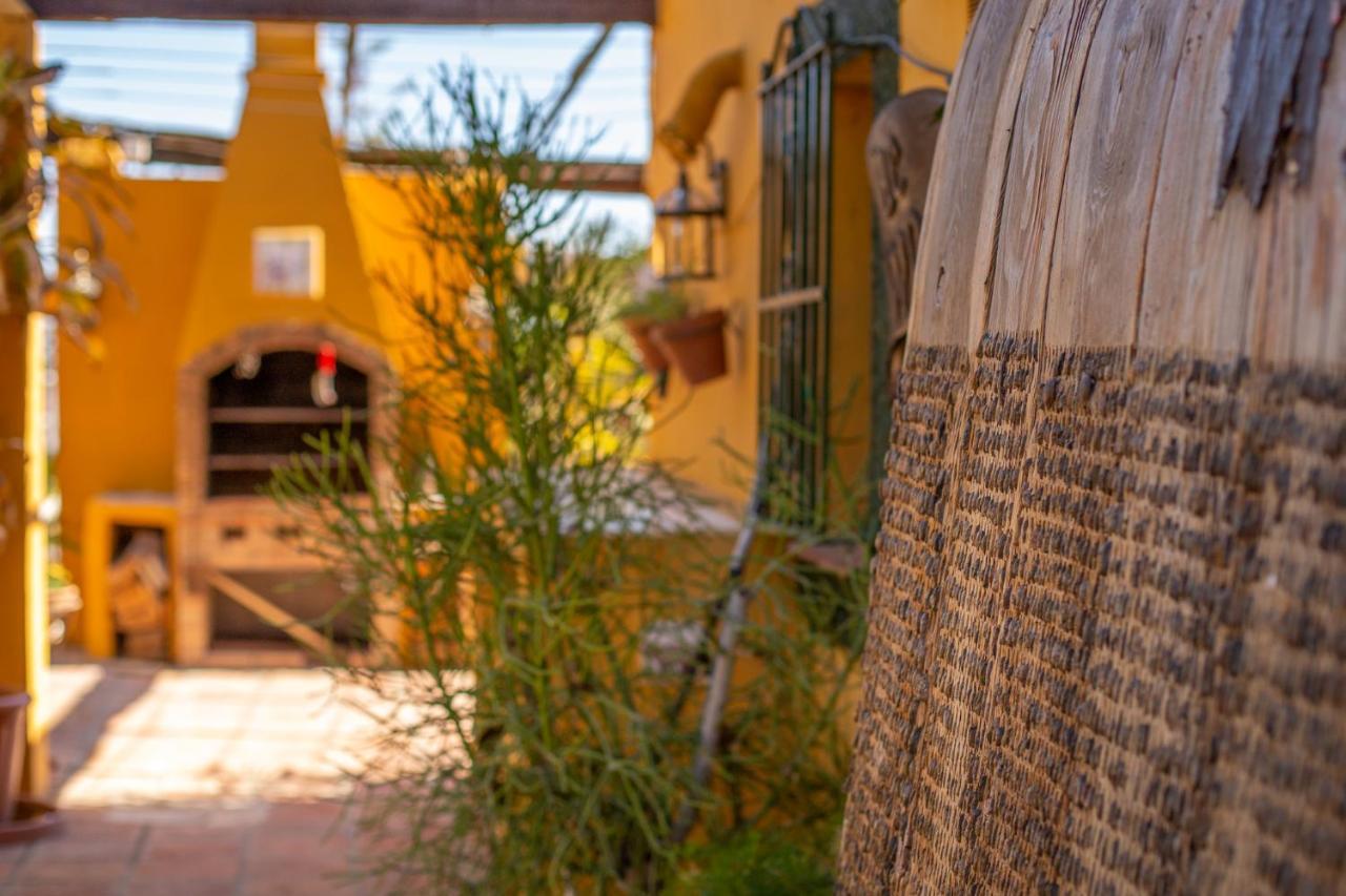 Hanami Finca Cumbres Borrascosas Estepona Dış mekan fotoğraf